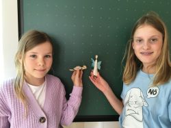 Img 7119